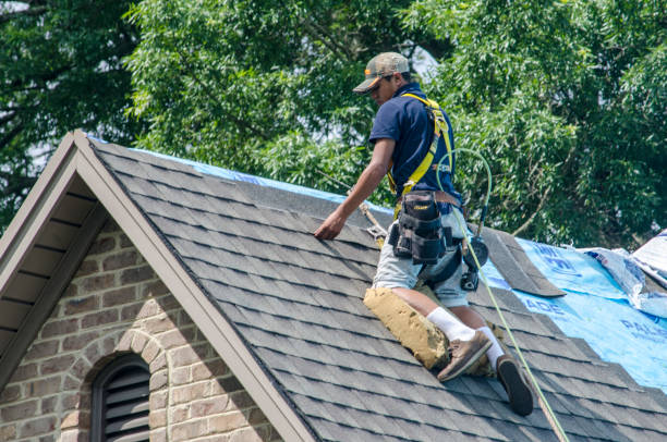 Best Roof Leak Repair  in Winona, MS